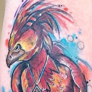 Meet your Posher, Gloria